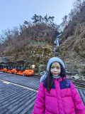 IMG_20241219_140509