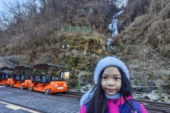 IMG_20241219_140509