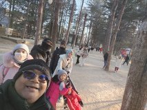 IMG_20241219_155650