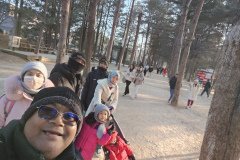 IMG_20241219_155650