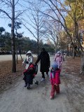 IMG_20241219_160416