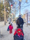 IMG_20241219_161545