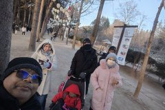 IMG_20241219_161617