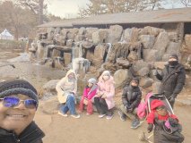 IMG_20241219_161914