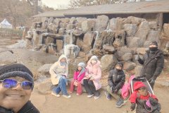 IMG_20241219_161914
