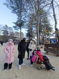 IMG_20241219_162129