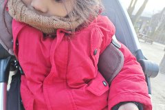 IMG_20241219_164245