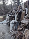IMG_20241219_164552