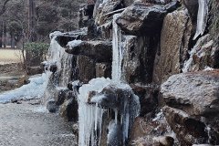IMG_20241219_164552