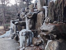 IMG_20241219_164557