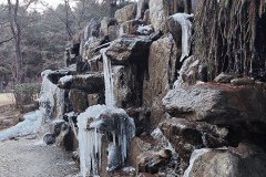 IMG_20241219_164557