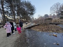 IMG_20241219_164654