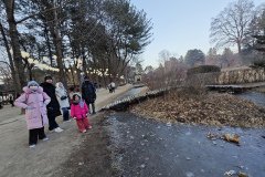 IMG_20241219_164654