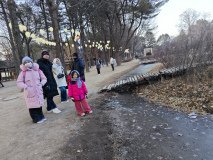 IMG_20241219_164659