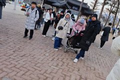 IMG_20241219_165624