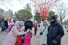 IMG_20241219_165723