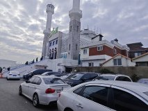 IMG_20241220_123554