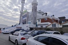 IMG_20241220_123554
