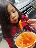 IMG_20241220_144540