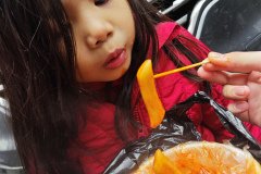 IMG_20241220_144540