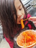 IMG_20241220_144541