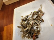 IMG_20241220_151526