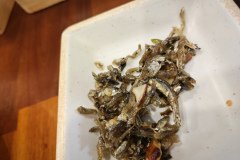 IMG_20241220_151526