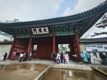 IMG_20241221_122817