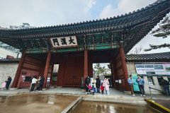 IMG_20241221_122817