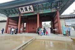 IMG_20241221_122819