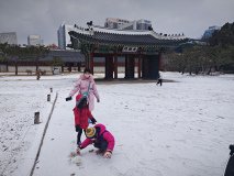 IMG_20241221_123515