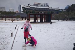IMG_20241221_123515