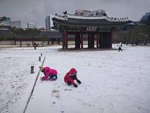 IMG_20241221_123525