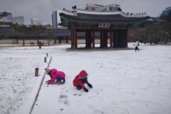 IMG_20241221_123525