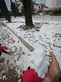 IMG_20241221_124043