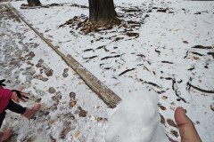 IMG_20241221_124043