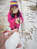 IMG_20241221_124133