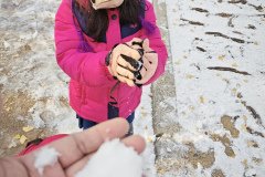 IMG_20241221_124133
