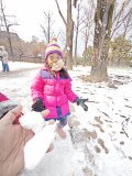 IMG_20241221_124149