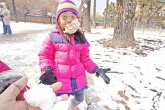 IMG_20241221_124149