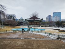 IMG_20241221_124559