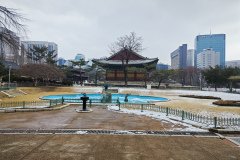IMG_20241221_124559