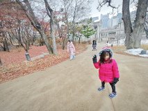 IMG_20241221_125210