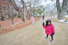 IMG_20241221_125210