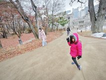 IMG_20241221_125211