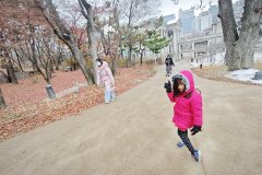 IMG_20241221_125211