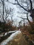 IMG_20241221_132600