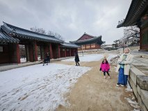 IMG_20241221_133956