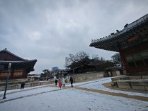IMG_20241221_134102