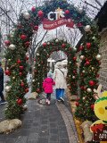 IMG_20241221_135444